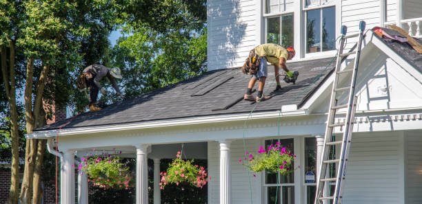 Best Roof Gutter Cleaning  in Crest, CA